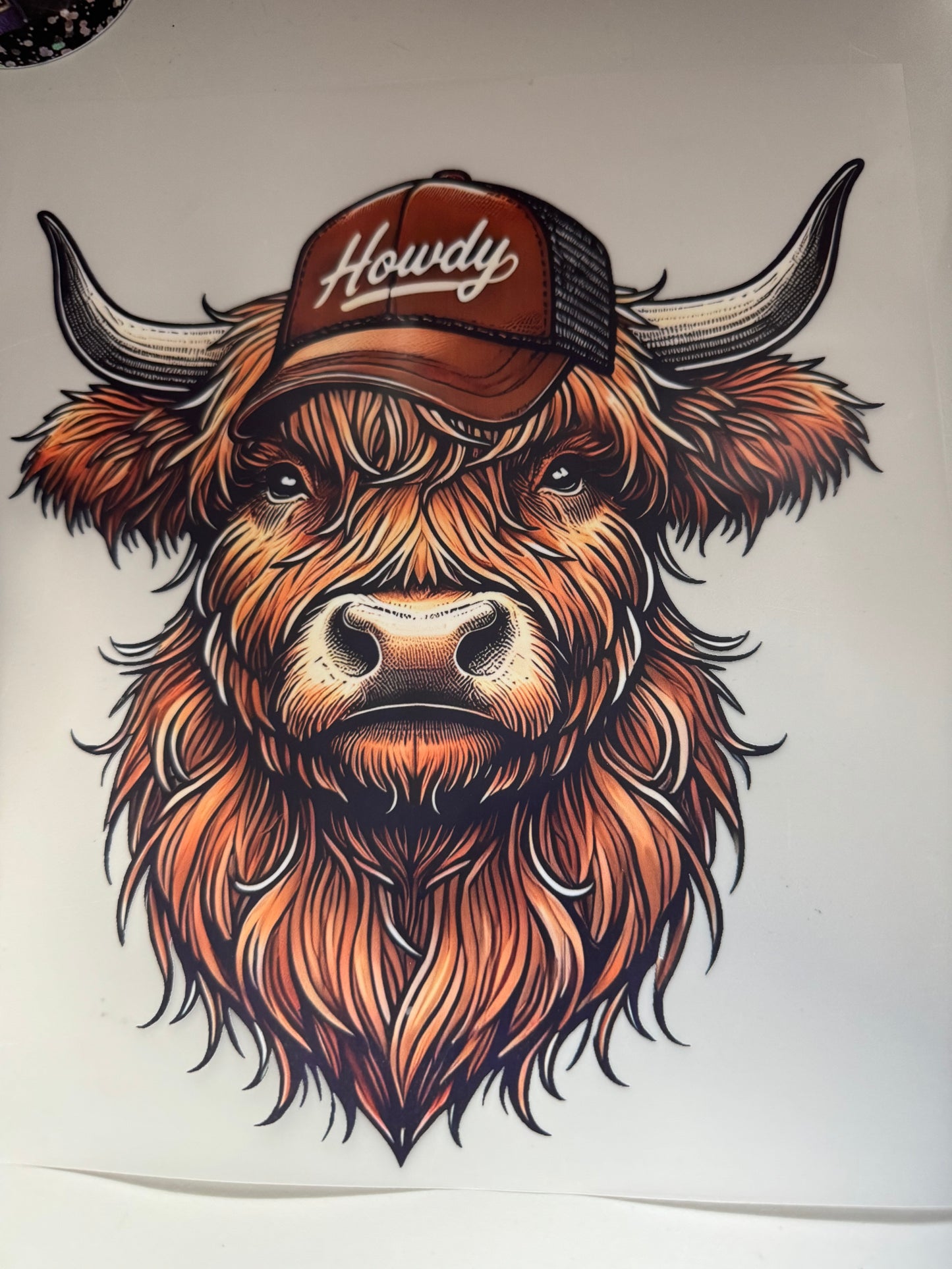 Cows