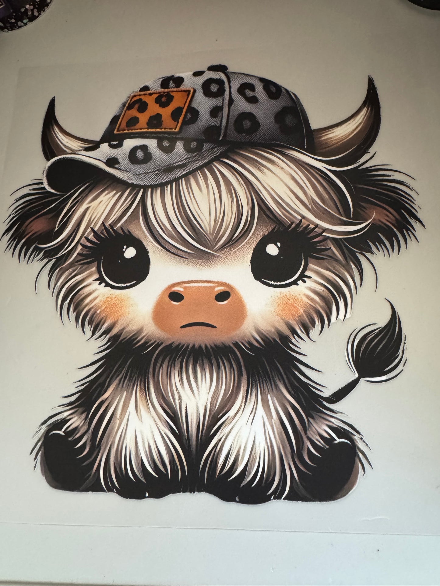 Cows