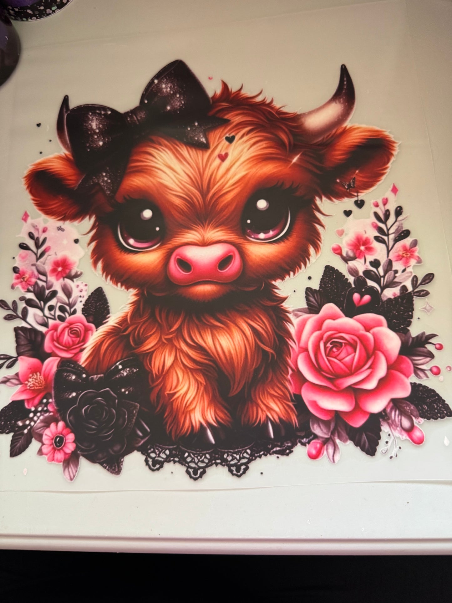 Cows