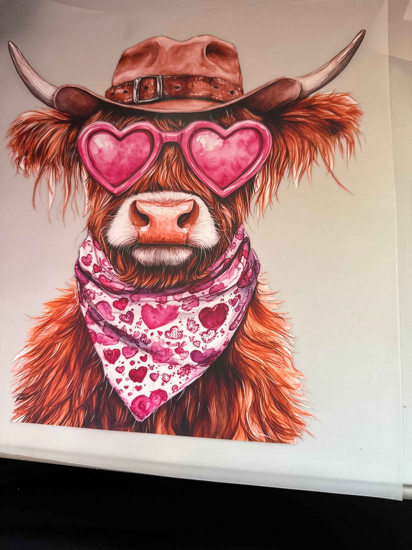 Cows
