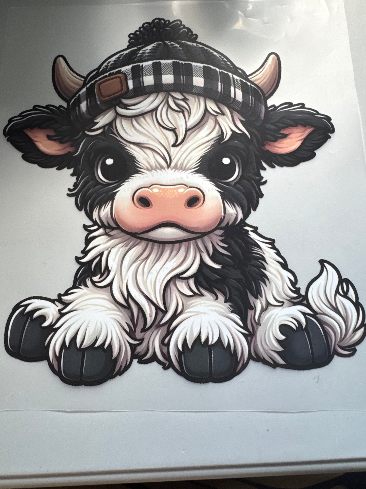Cows